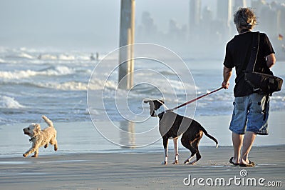 A Man and his Dog Spending Time Together on Beach