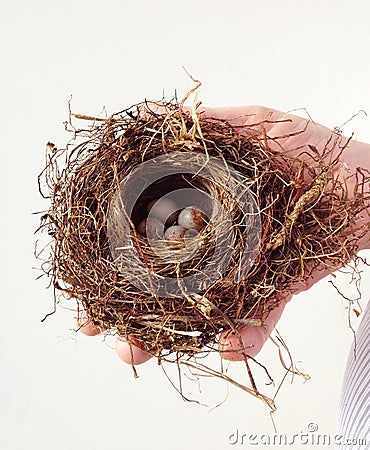 Man holding bird nest with eggs