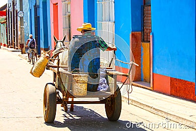 Man on horse drawn cart on the street of Trinidad, Cuba