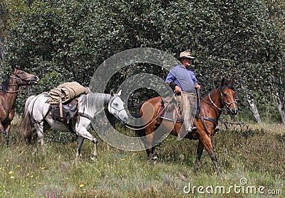 Man riding horse