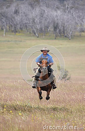 Man riding horse at speed