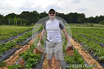 Man stood in strawberry fields