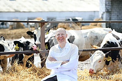 Man in a white coat on the cow farm