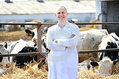 Man in a white coat on the cow farm