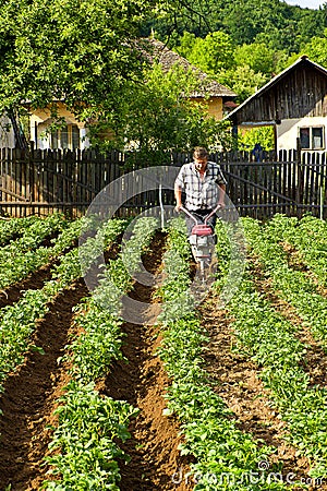 Man working the soil with small machine