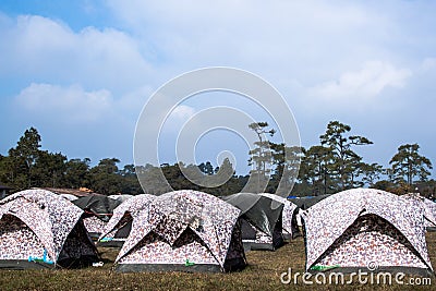 Many tents at a campsite