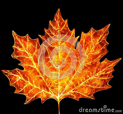 Maple leaf burning hot