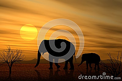 March of The Elephants At Sunset