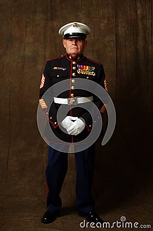 Marine Veteran