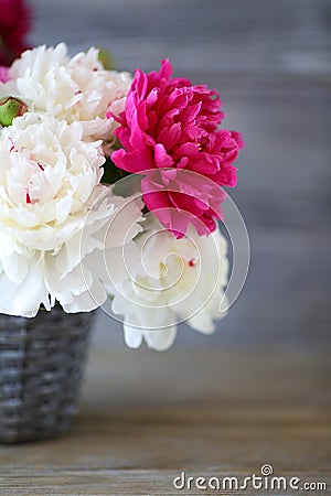 Maroon and white peonies in a vase