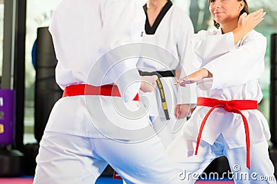 Martial Arts sport training in gym