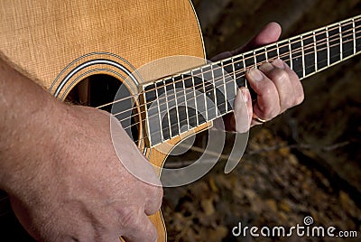Master guitarist plays the guitar in the forest
