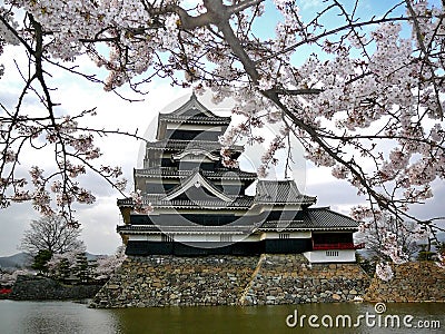 Matsumoto Castle with Cherry Blossoms