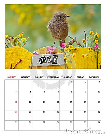 May 2014 calendar