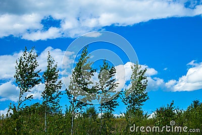 Meadows nature sky sun lake plant meadow cloud forest dawn house