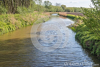 Meandering stream in a Dutch landscape