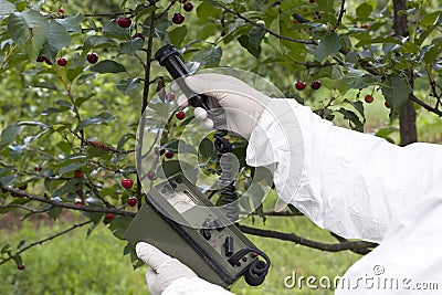 Measuring radiation levels of fruits