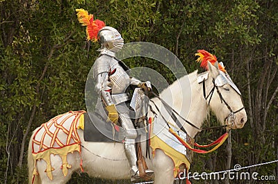 Medieval knight on horse