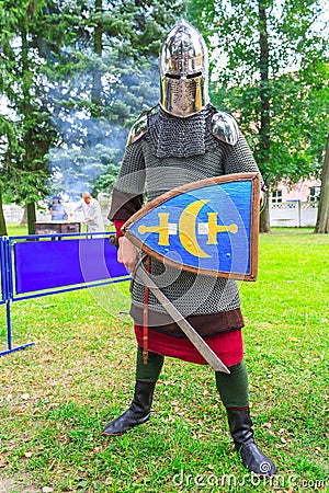 Medieval knight with sword and shield in hand