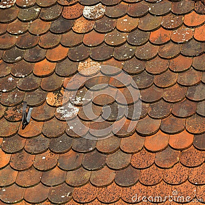 Medieval tiled roof texture.