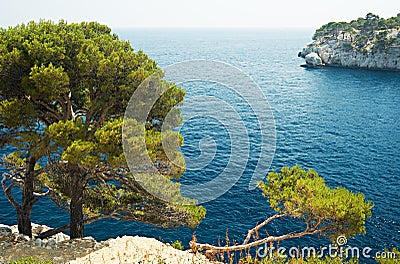 Mediterranean sea near Cassis