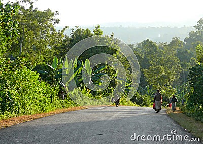 MEGA, ETHIOPIA - NOVEMBER 25, 2008: Equatorial jungle. Road clos