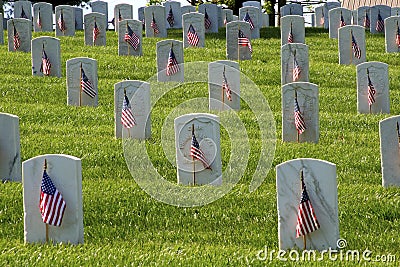 Memorial Day Flags