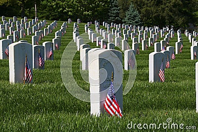 Memorial Day Flags