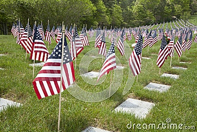 Memorial Day Flags Stand in Remembrance