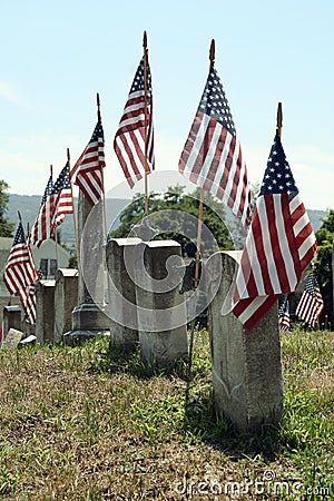 Memorial Day Image