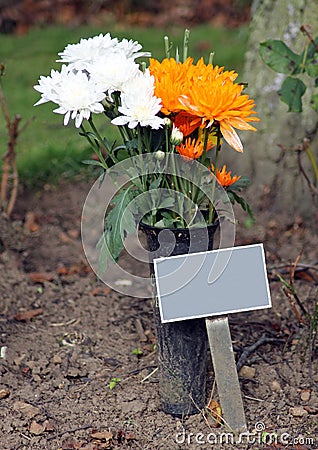 Memorial plaque and flowers in cemetery