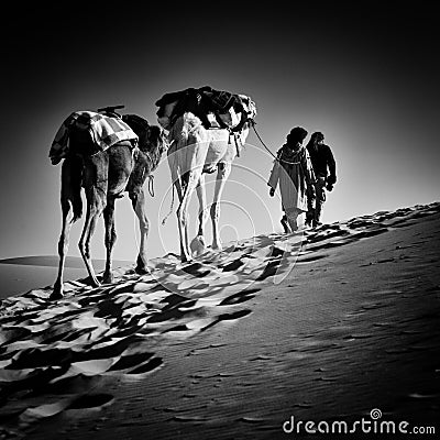 2 men and 2 camels in Sahara desert