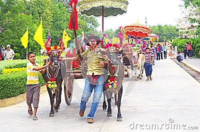 Men control cows that dressed with beautiful fancy costume in the parade at Wat Huai Mongkol, Prachuap Khiri Khan, Thailand