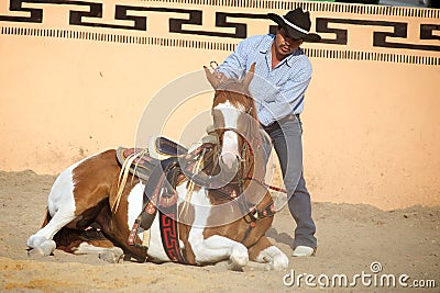 Mexican charros horseman make his horse lie down