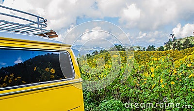 Mexican sunflower with van.
