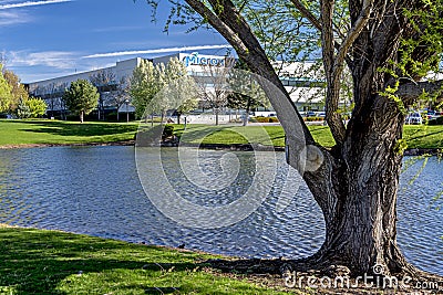 Micron Technology building frontage pond in spring