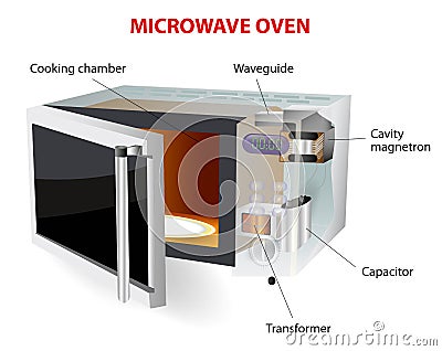 Microwave oven diagram