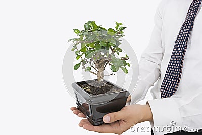 Midsection of businessman carrying potted plant over white background