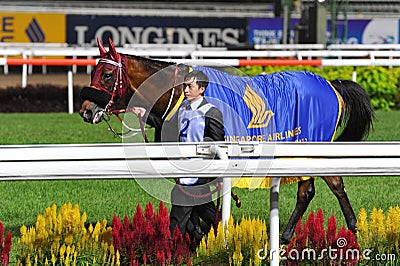 Military Attack after its win at Singapore Airlines International Cup 2013