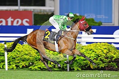 Military Attack winning the Singapore Airlines International Cup 2013