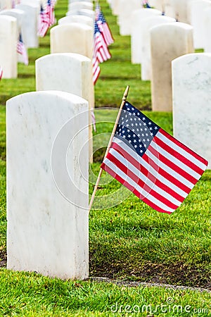 Military Veterans Headstones and American Flags