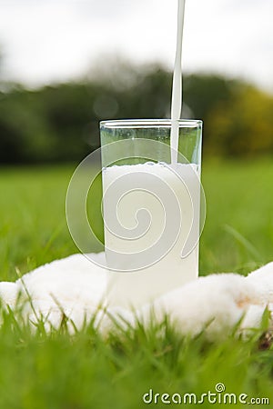 Milk pouring into a glass