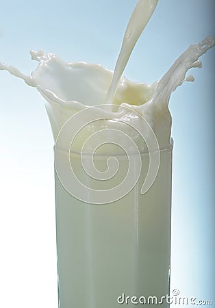 Milk pouring splash