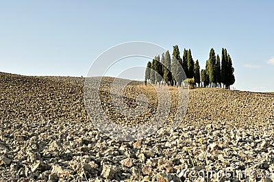 Minimalist landscape in Tuscany, Italy