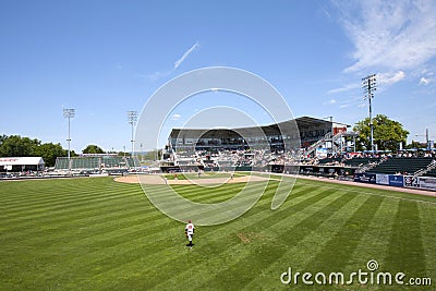 Minor League Baseball