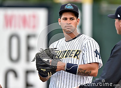 2014 Minor League Baseball