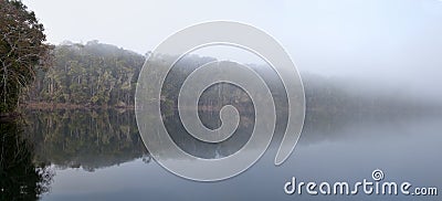 Mist over lake Eecham Rain forest reflection