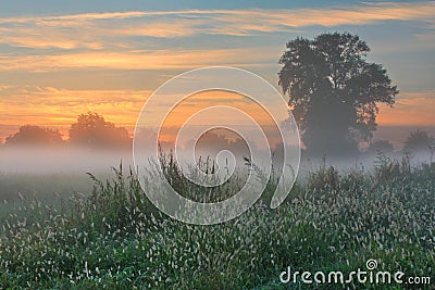  - misty-dawn-autumn-morning-16985715