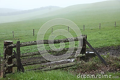 Misty farm gate