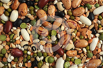 Mixture legumes for vegetarian food